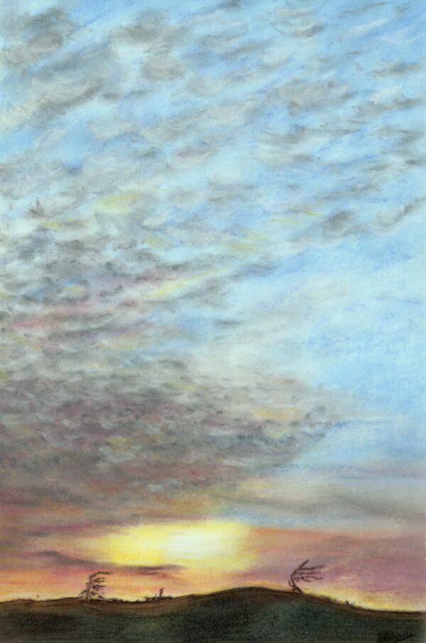 Windswept original soft pastel